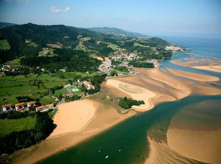 Etxaetxe La Casa Del Parque Appartement Bermeo Buitenkant foto